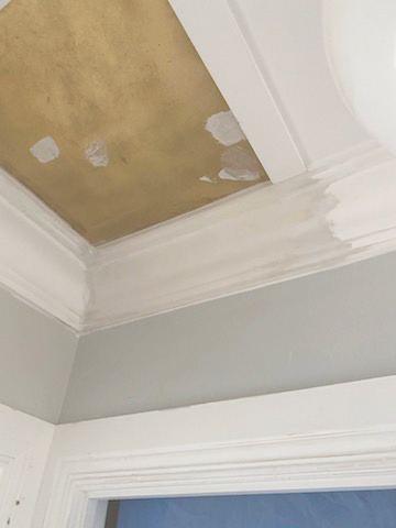 Plaster work for home and commercial business interior walls, ceilings, cornices. Plaster Repairs, Renovations and New Work.
